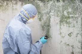 Best Comprehensive Air Testing for Mold Contaminants  in Signal Mountain, TN